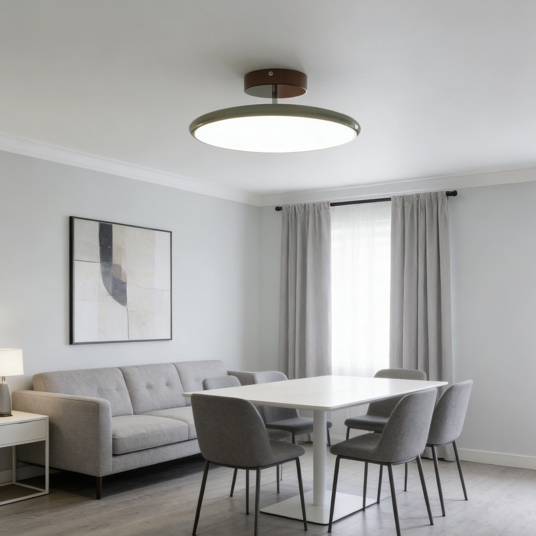 Oris Floating Disc Ceiling Lamp